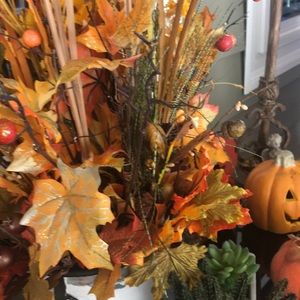 Meet your Posher, Mattie